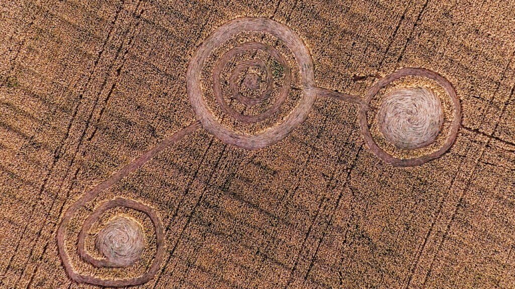 Aparições de círculos em plantações podem ser o maior mistério da ufologia mundial