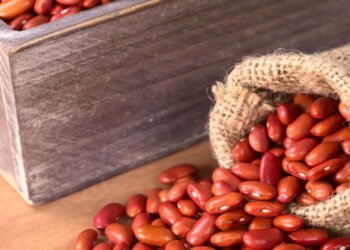Médica especialista revela se você deve comer feijão todo dia