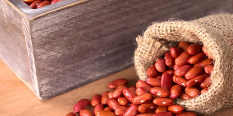 Médica especialista revela se você deve comer feijão todo dia