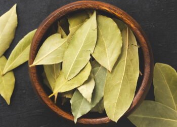 O truque do Feng Shui com louro que virou tendência nas casas brasileiras