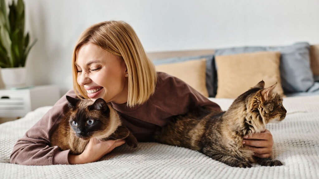 Apaixonado por gatos