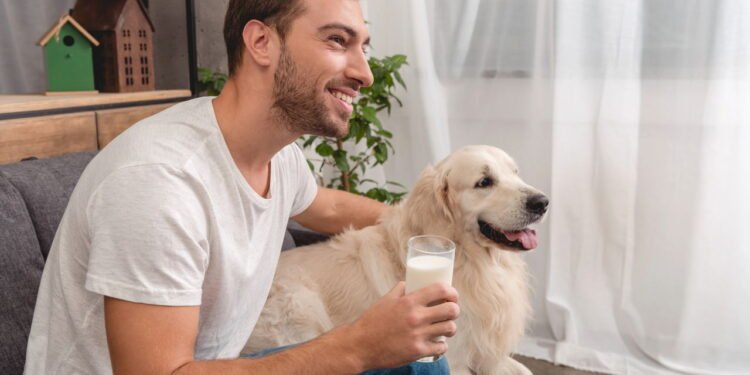 Se você busca bem-estar antes de dormir precisa experimentar essa bebida