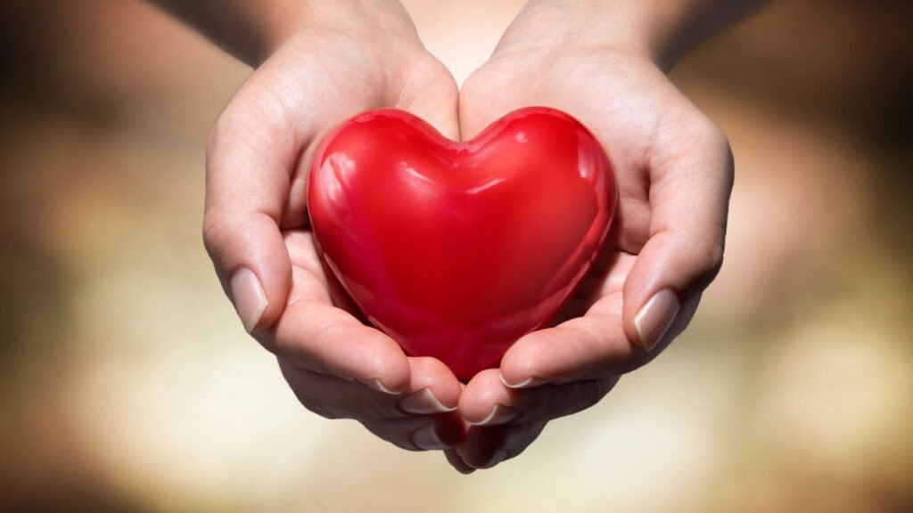 Essas frutas vermelhas são aliadas da saúde do coração e ajudam no controle da glicemia