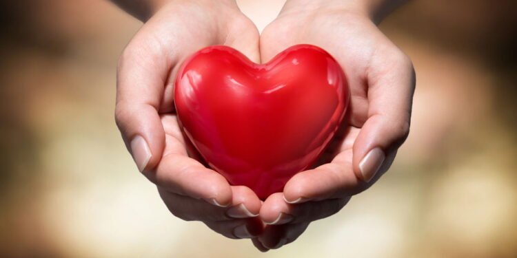 Essas frutas vermelhas são aliadas da saúde do coração e ajudam no controle da glicemia