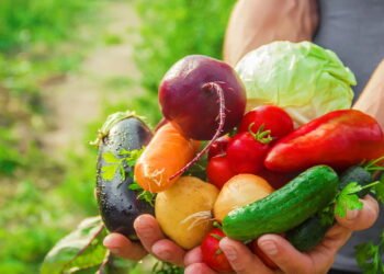 Esta horta dá resultado em 30 dias e cabe em qualquer cantinho