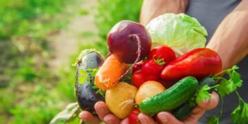 Esta horta dá resultado em 30 dias e cabe em qualquer cantinho