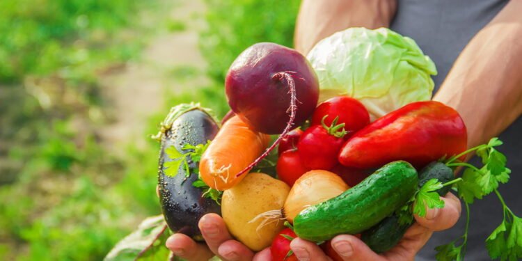 Esta horta dá resultado em 30 dias e cabe em qualquer cantinho