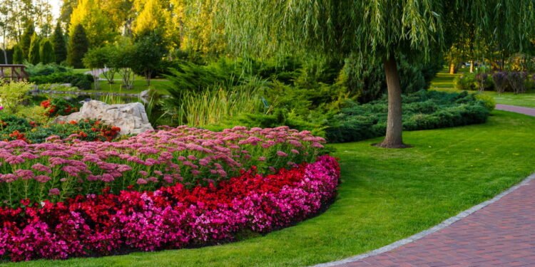 Como manter seu jardim bonito e saudável o ano inteiro