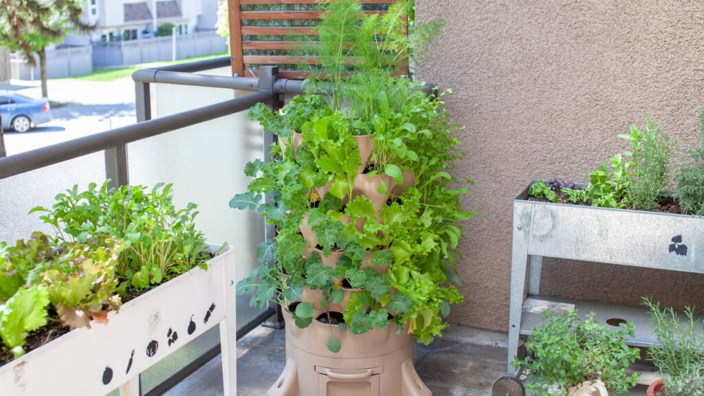 Jardim sem sol saiba quais plantas prosperam no seu apartamento