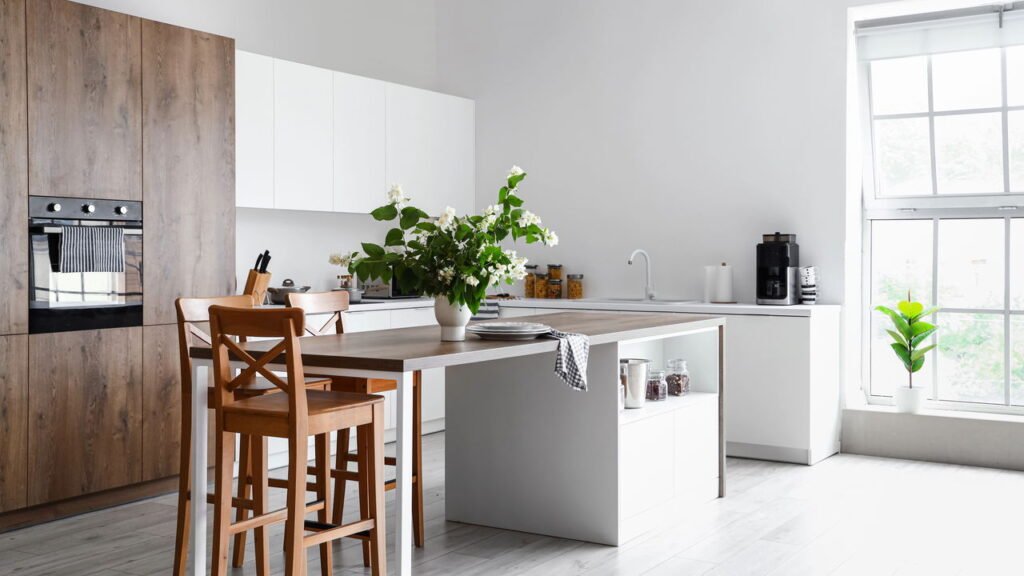 plantas têm o poder de mudar sua energia em casa