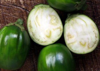 Cultivar jiló em casa virou tendência entre quem busca saúde