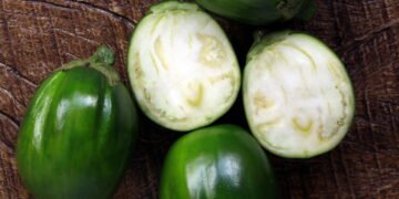 Cultivar jiló em casa virou tendência entre quem busca saúde