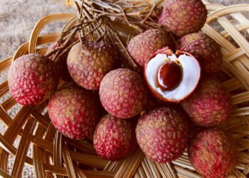 A fruta com polpa suculenta que está conquistando os pomares caseiros