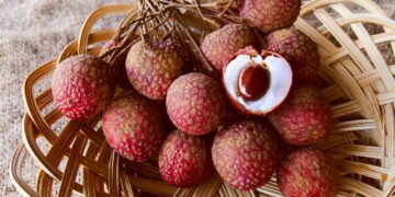 A fruta com polpa suculenta que está conquistando os pomares caseiros