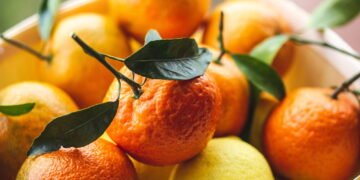 Ter uma árvore de mexerica em casa é mais simples do que parece