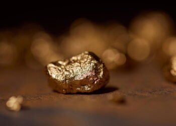 Cientistas descobrem fungo que transforma minerais em ouro puro