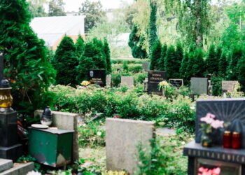 Pensão por morte do INSS quem tem direito e como solicitar