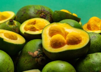 Essa planta típica do cerrado é resistente e ainda rende frutos nutritivos