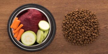 Comida natural ou ração? O que faz melhor para a saúde do seu pet, segundo veterinários