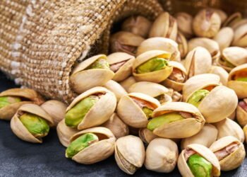 As castanhas que estão dominando a dieta de quem quer proteína vegetal