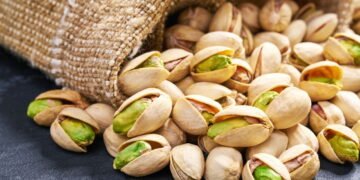 As castanhas que estão dominando a dieta de quem quer proteína vegetal