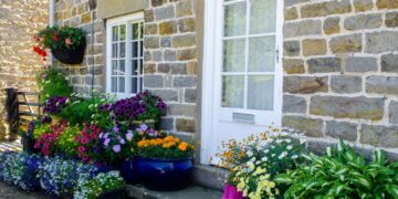 Sua casa mais protegida dos mosquitos e mais aromática com essas plantas naturais