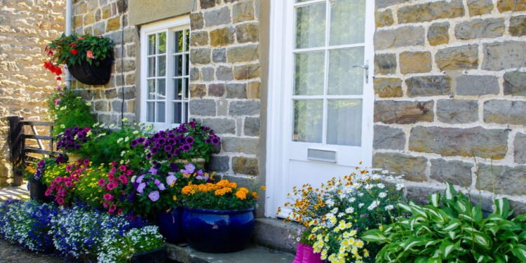 Sua casa mais protegida dos mosquitos e mais aromática com essas plantas naturais