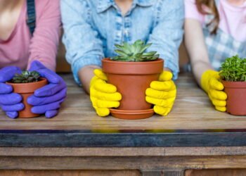 O que cuidar de plantas revela sobre sua personalidade
