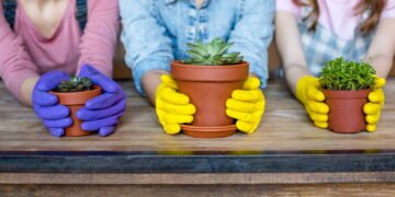 O que cuidar de plantas revela sobre sua personalidade