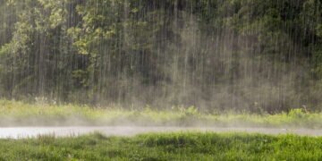 A chuva tem cheiro? O que de fato é esse odor que sentimentos quando a chuva cai?