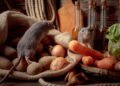 Veja como eliminar ratos da sua casa com apenas 1 ingrediente que você tem na cozinha