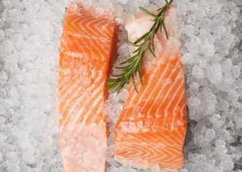 Cientistas encontram animal que sobrevive sem ar e o mundo reage!