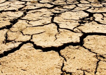 Seca histórica no Nordeste já afeta lavouras e altera rotina rural