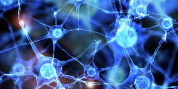 5 sinais cerebrais que diferenciam psicopatas do resto da população