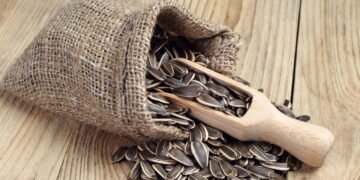 Essa semente é pequena no tamanho, mas gigantes nos benefícios para a saúde