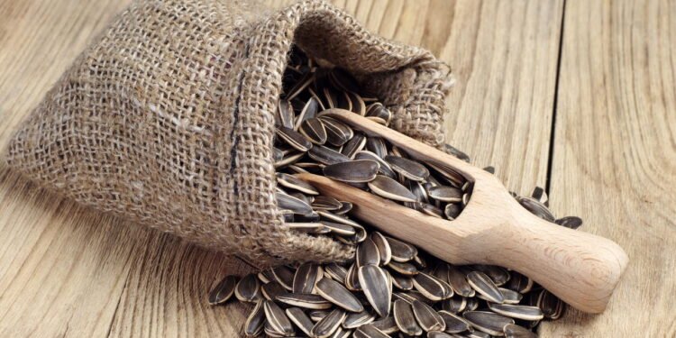 Essa semente é pequena no tamanho, mas gigantes nos benefícios para a saúde