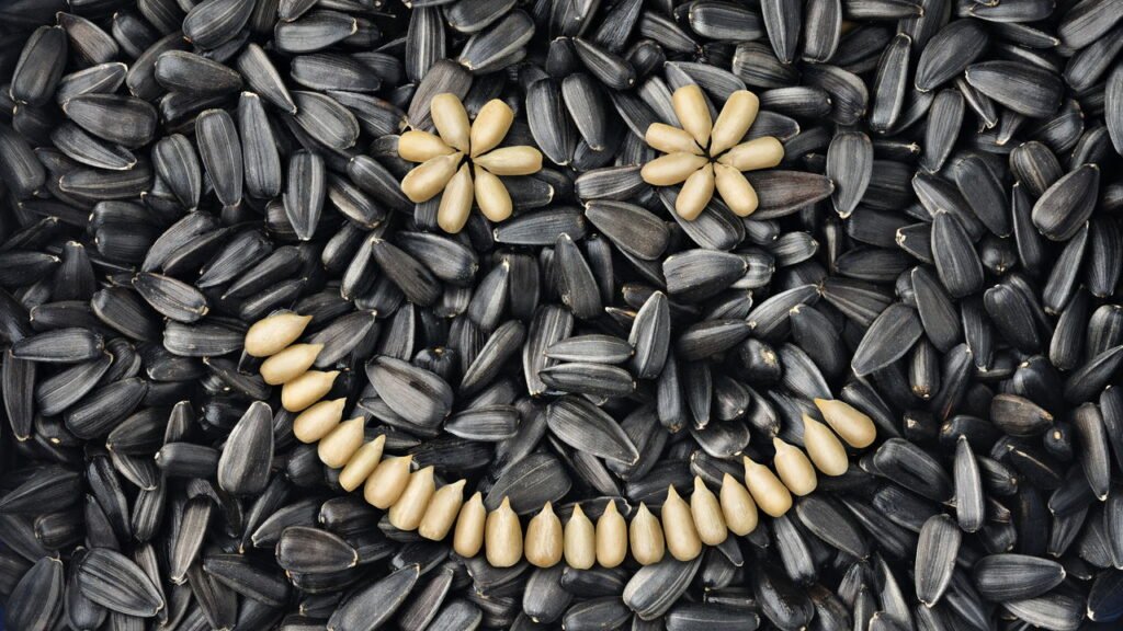 Essa semente é pequena no tamanho, mas gigantes nos benefícios para a saúde