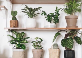 Vasos de cimento feitos em casa que transformam qualquer ambiente