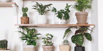 Vasos de cimento feitos em casa que transformam qualquer ambiente