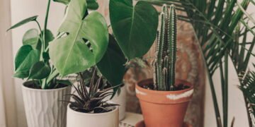 Esse suporte de madeira para vasos deixa sua casa mais charmosa