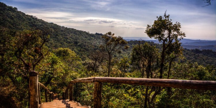 Trilha Pedra Redonda - Créditos: Divulgação/Flickr