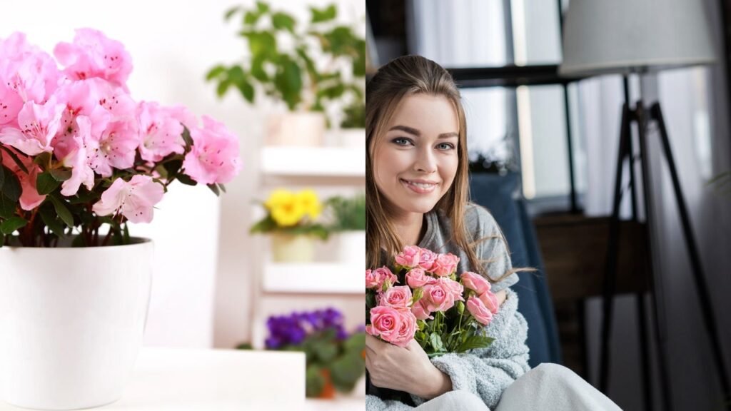 Amar cuidar de plantas