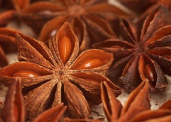 A planta estrela que ajuda contra gripe e ainda perfuma a cozinha