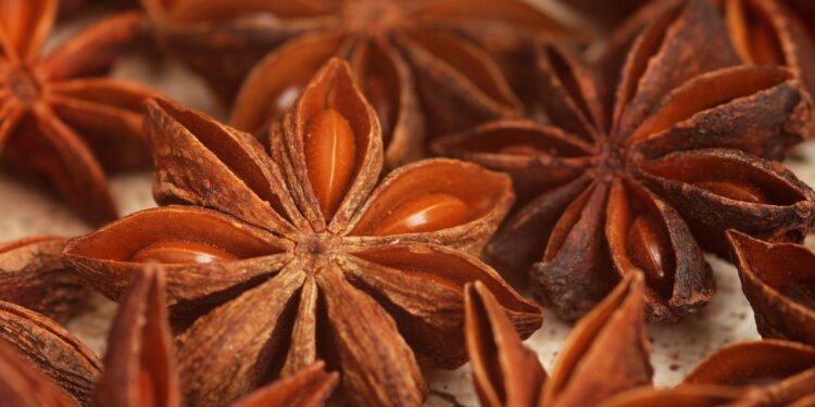 Anis estrelado - Créditos: depositphotos.com / Vitoria71