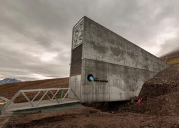 Conheça os cofres que escondem sementes que podem salvar a humanidade