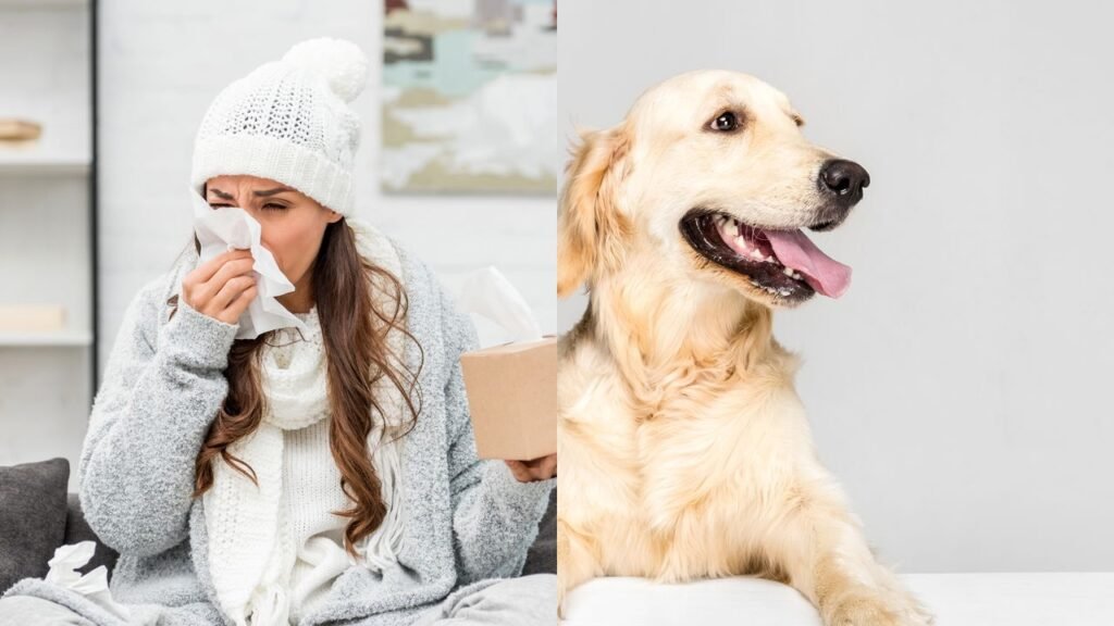 Comportamentos de cachorro