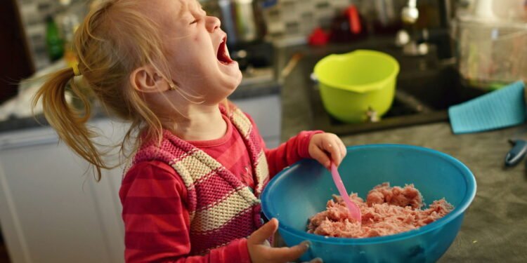 Conheça as melhores maneiras de lidar com as birras do seu filho sem estresse