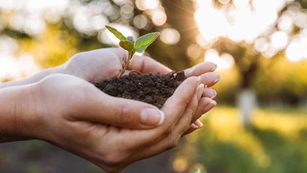 O que aconteceria se todos os humanos desaparecerem da Terra de repente?