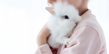 O motivo mais estranho e adorável por trás da vontade de morder algo fofo