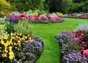 É revelado o segredo da produtividade agrícola! Comece a seguir essas práticas e tenha colheitas mais saudáveis